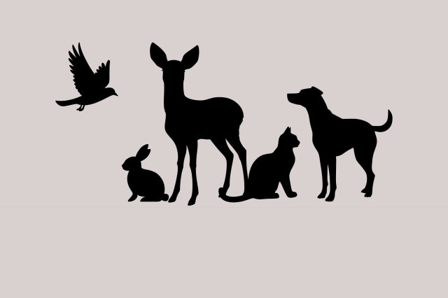 Wildtiere Startseite