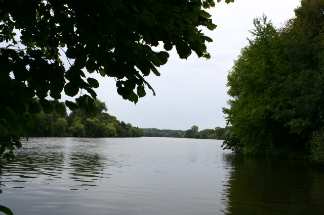 Kinzigmündung